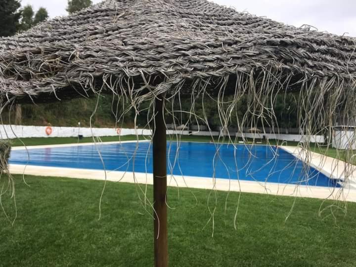 La Zzinetina Appartamento *