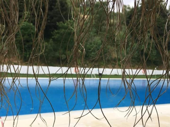 Appartamento La Zzinetina Constantina